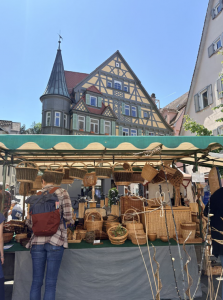 Pictures from the center of Tubingen
