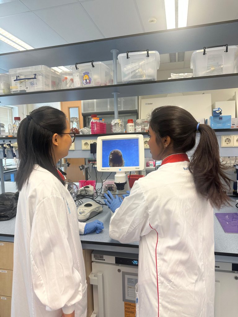 Yao and Vaishnavi in the lab